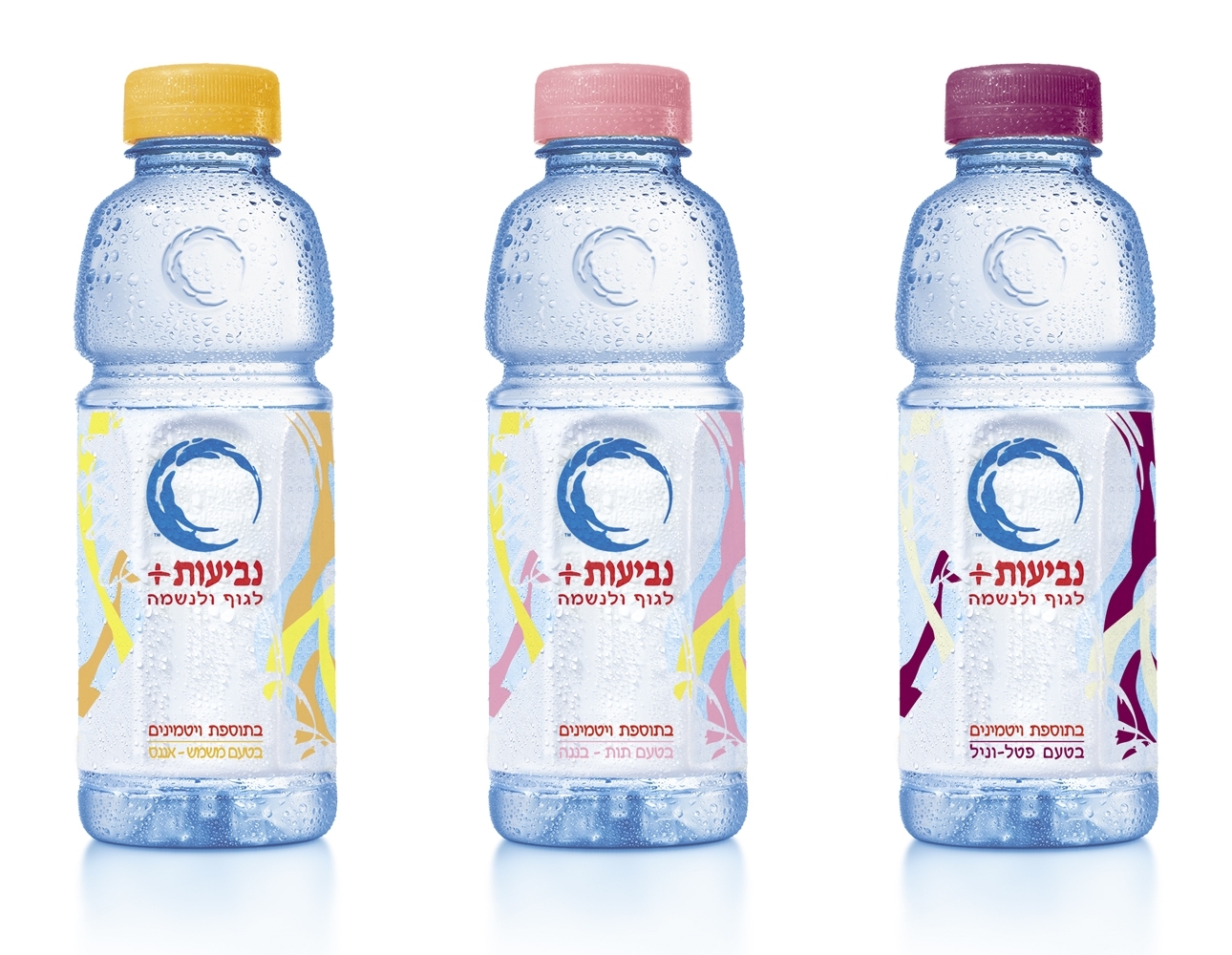 Kosher Delivery App Ruthy's Place Kosher Middle