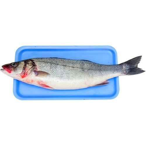 Kosher Delivery App Florida Fish Market